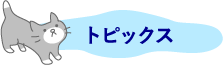 トピックス